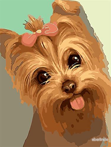 Diamond Painting Set, tavla med Yorkshire Terrier mönster och tillbehör, storlek ca 25 x 35 cm, DIY set för målning glittrande stenar barn från 5 år 4016490818984
