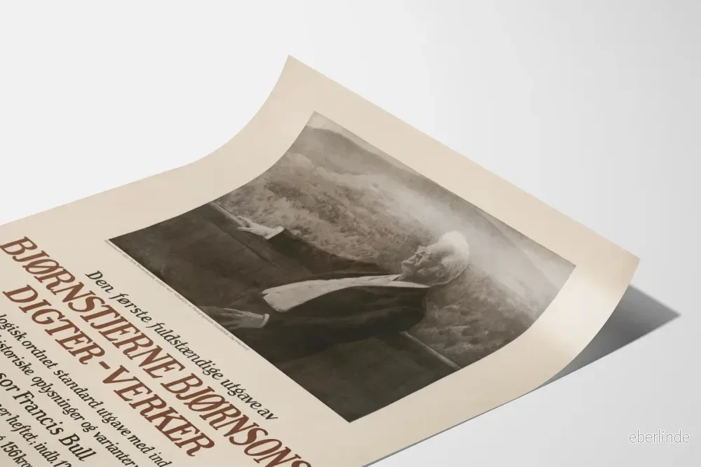 Vintageposter av Bjørnstjerne Bjørnson fullständiga verk - Bild 3