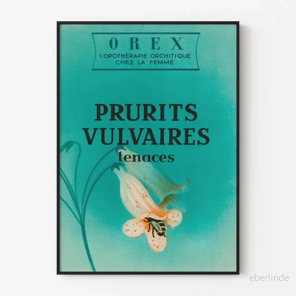 Vintage medicinsk poster för klåda i vulva Artem Legrand