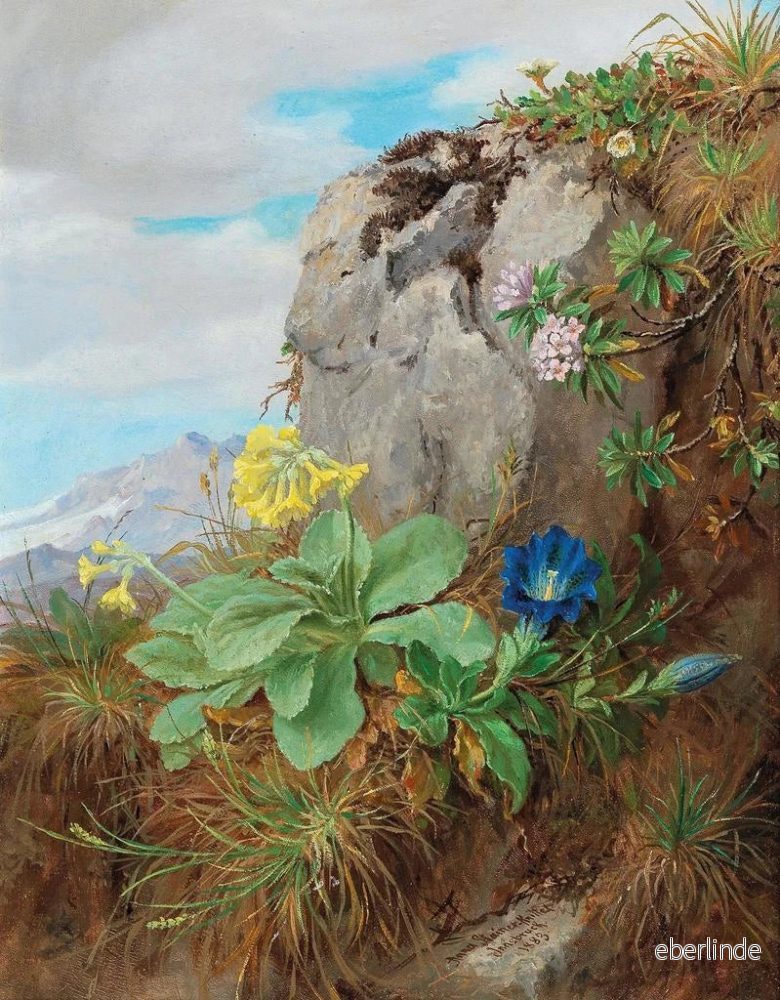 Målning av alpina blommor - Anna Stainer-Knittel | Konsttryck - Bild 2