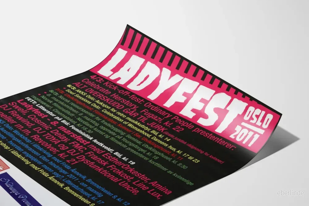 Ladyfest Oslo 2011 - Musik- och kulturhändelse för feministisk konst och kultur - Bild 3