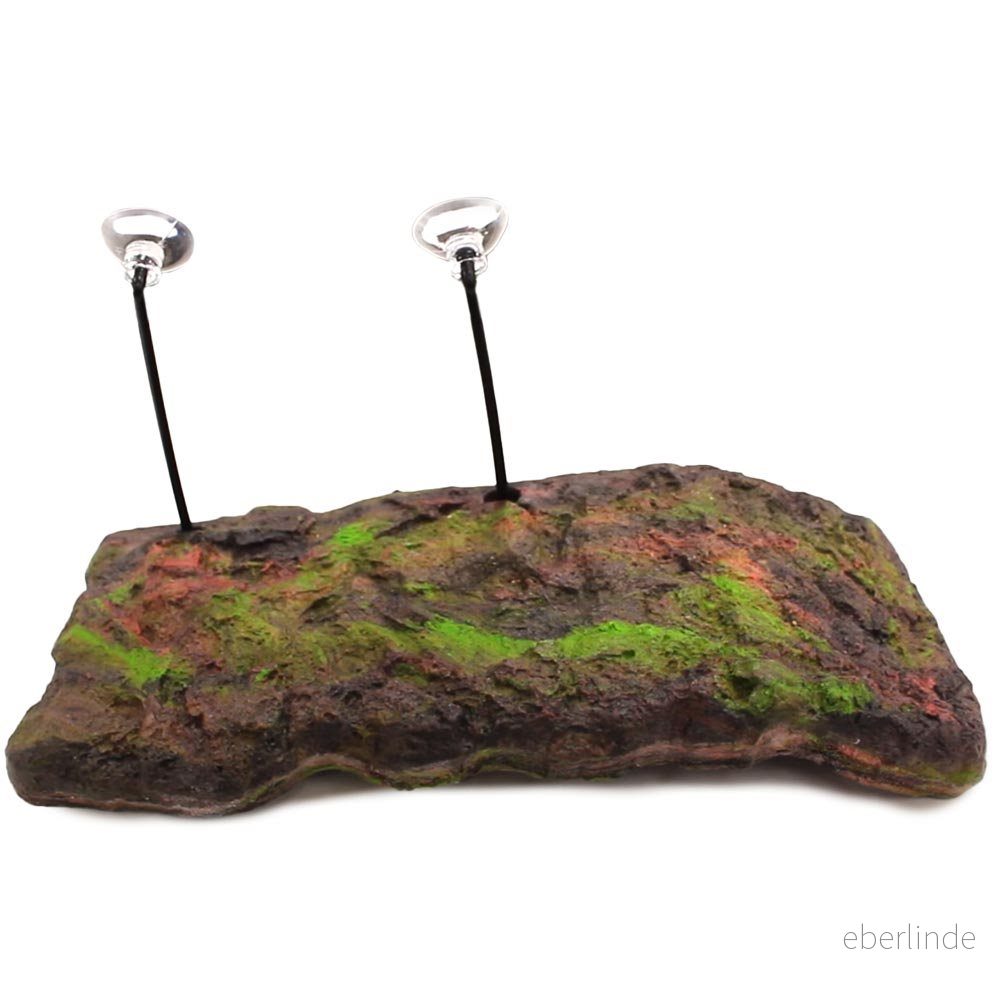 Zoo Med Turtle Dock Large 97612660302 Zoo Med Turtle Dock Large 97612660302