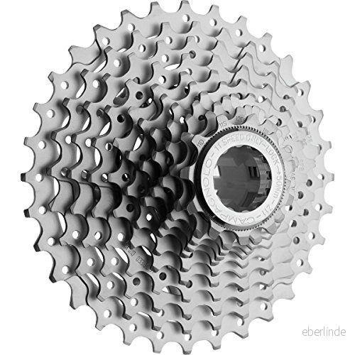 Campagnolo Potenza Cassetta, Silver, L 8050046162363