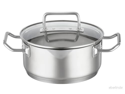 RÖSLE EXPERTISO Stekgryta, högkvalitativ universell gryta i rostfritt stål 18/10, glaslock, invändig skala, induktionssäker, diskmaskinssäker, 20 cm, silverfärger 4004293919441