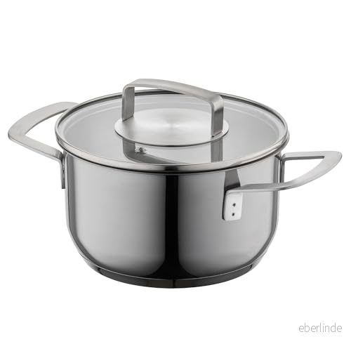 FLORINA Rostfritt Stål Kastrull 3,1 l 20 cm Diameter I INFINITY med Glaslock Praktisk Måttskala Diskmaskinssäker 3 lagers Botten för jämn värmefördelning Idealisk alla spistyper 5907758652190