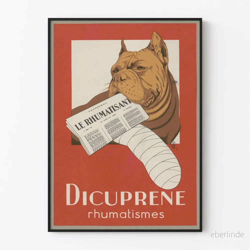 Vintageposter Dicupréne Reumatism Väggdekoration Vintageposter Dicupréne Reumatism Väggdekoration