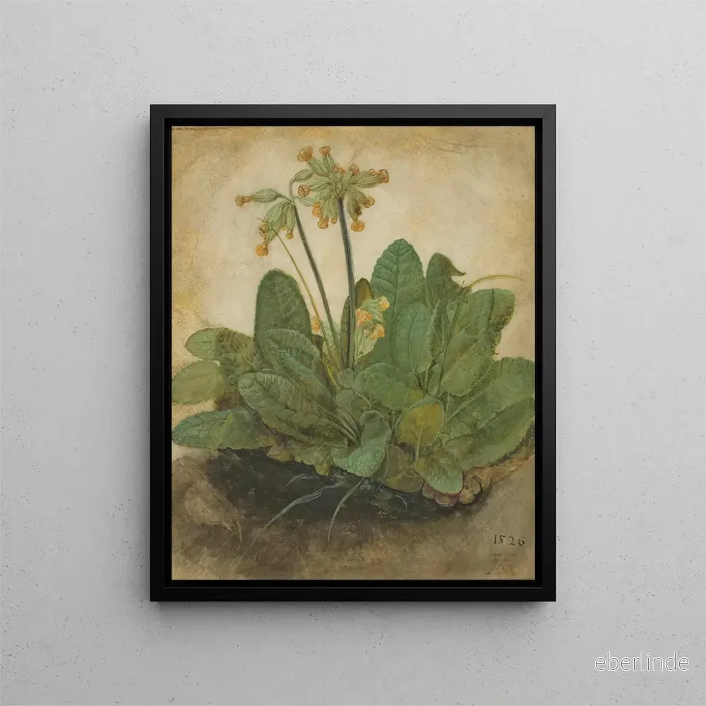 Målning Touffe de primevères – Albrecht Dürer | Konsttryck Målning Touffe de primevères – Albrecht Dürer | Konsttryck