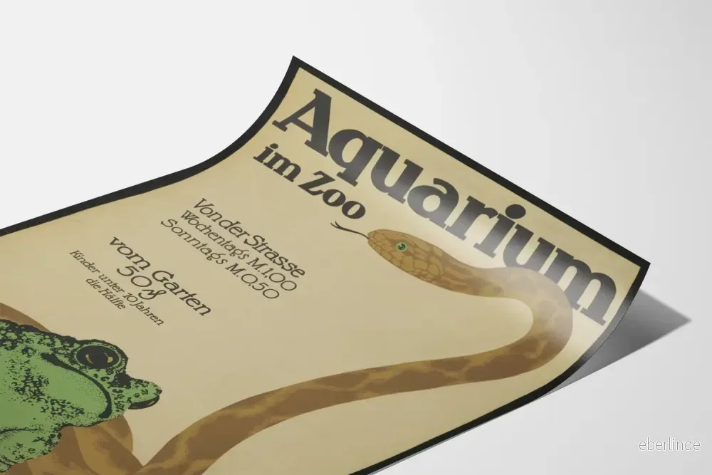 Vintageposter av akvarium på zoo med groda och orm - Bild 3