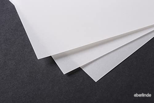 Clairefontaine Spårningspapper, 230 g A3 Genomskinlig 3329689751315