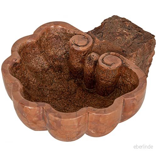 Biscottini marmorbehållare 30,5 x 26 13,5 cm Shell 8057635096450