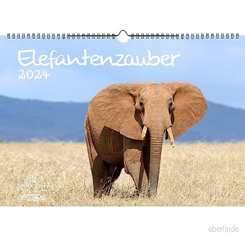 Elefantmagi DIN A3 kalender för 2024 elefanter själsmagi 4065198090994