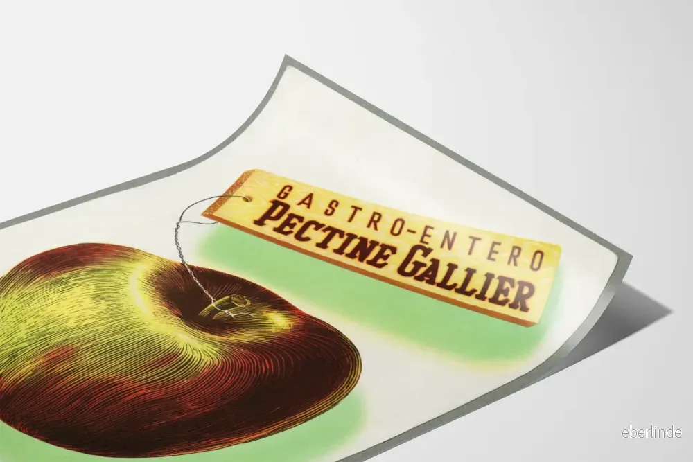 Vintage reklamposter Pectine Gallier väggdekoration - Bild 3