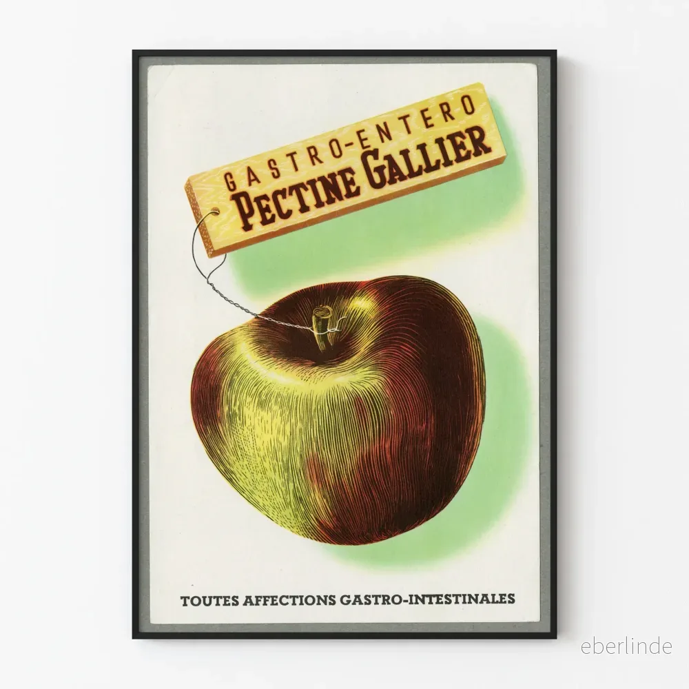 Vintage reklamposter Pectine Gallier väggdekoration